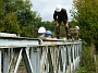 Dismantling 85